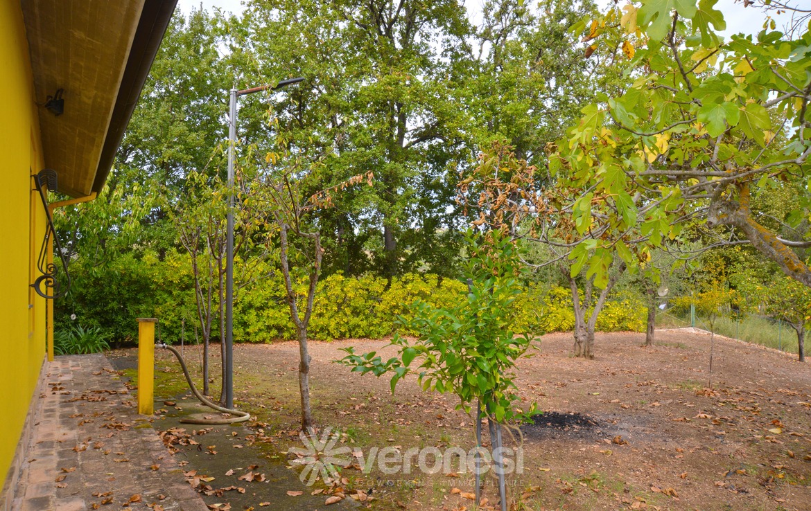 Villa indipendente con terreno circostante