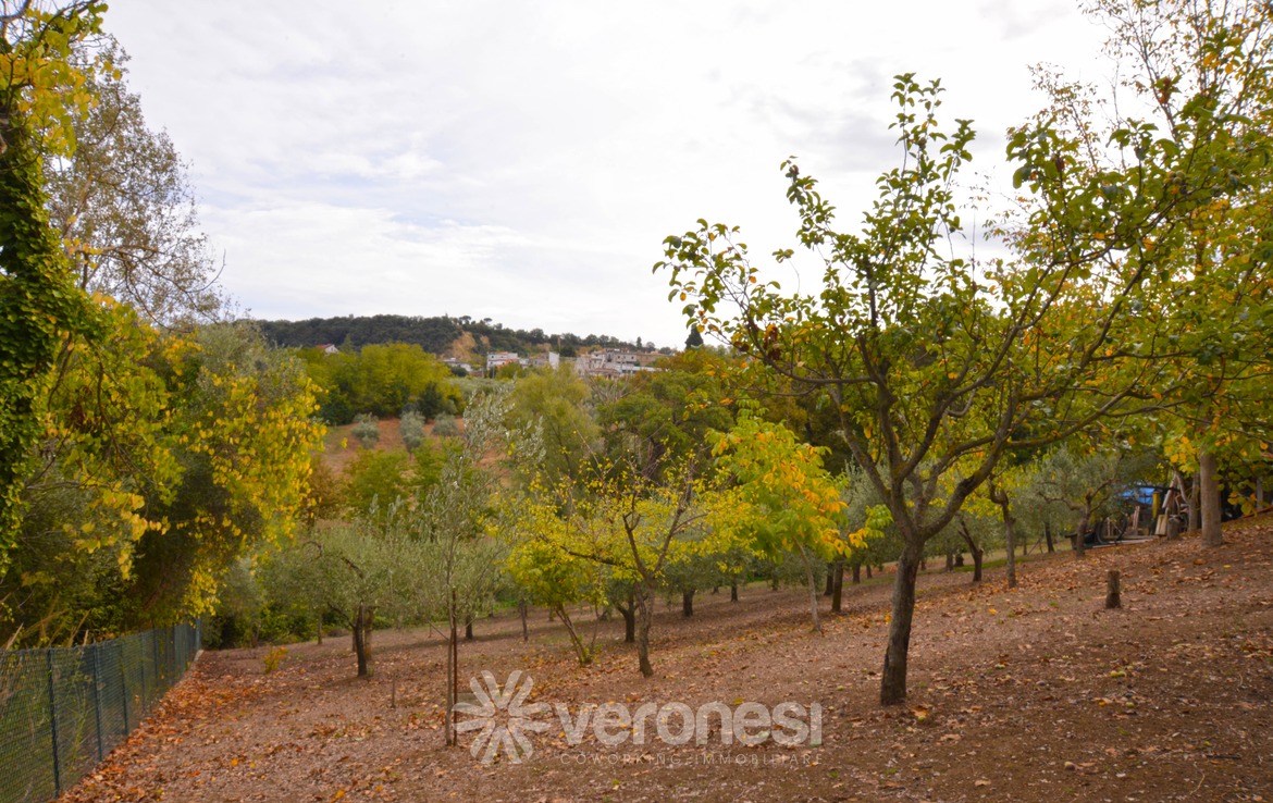 Villa indipendente con terreno circostante