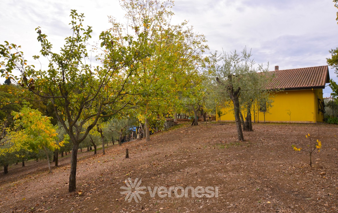Villa indipendente con terreno circostante
