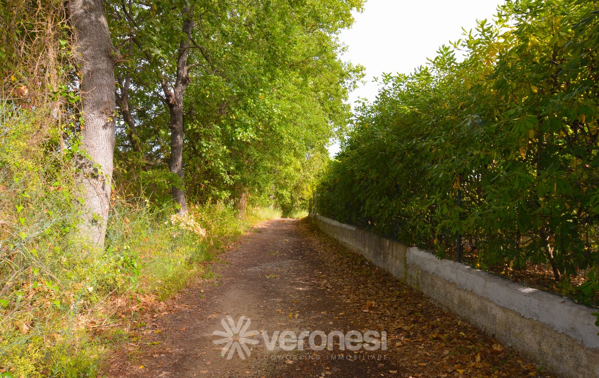 Villa indipendente con terreno circostante